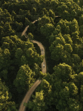 Uomo che corre nella foresta di Sani