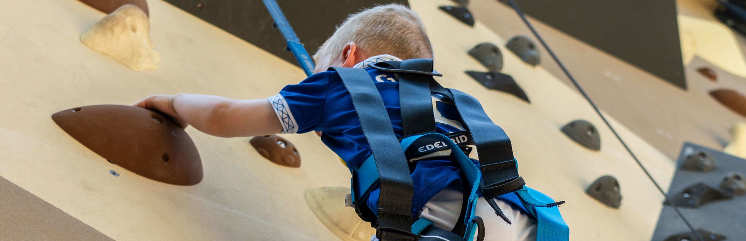 Kid in sportswear and harness enjoying a climbing wall experience at Sani Resort