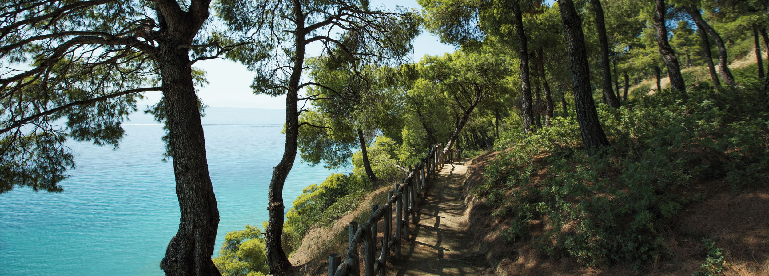 Vue sur sentier forestier surplombant la mer