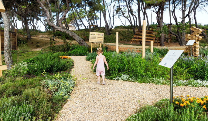 Little girl discovering lavender and bee spot