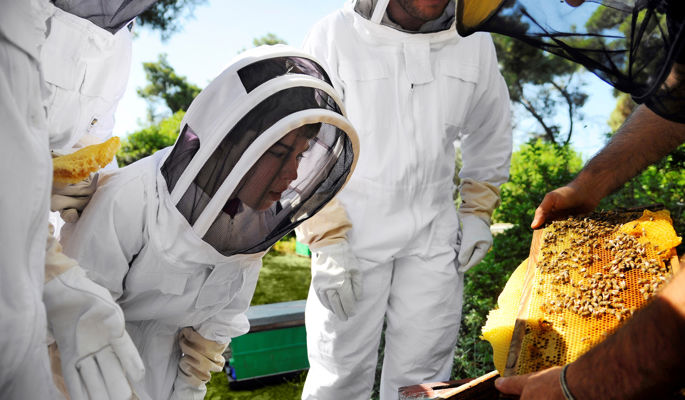 Famille en excursion d'apiculture au Sani Resort