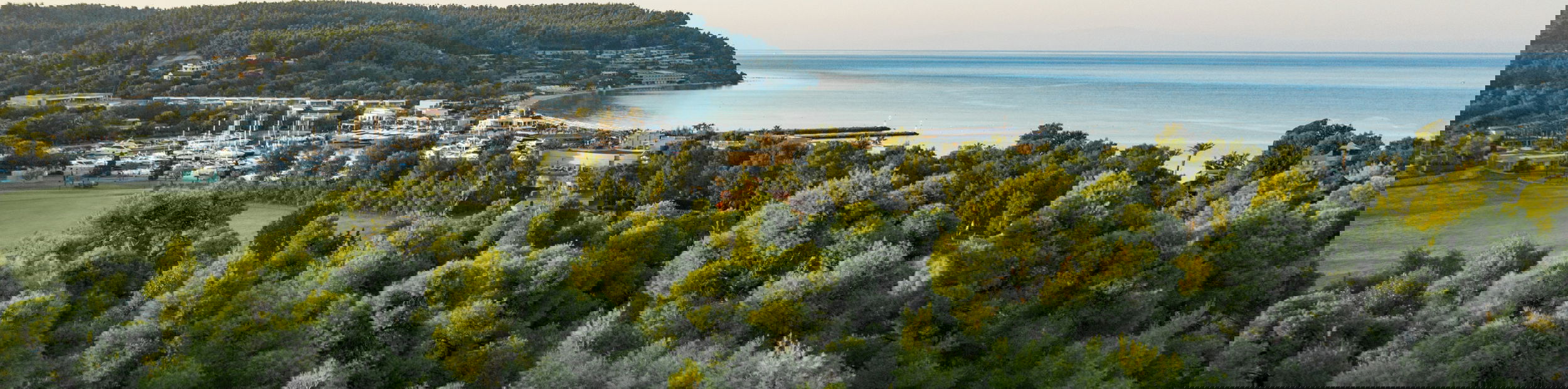 Sani Resort Aerial Over The Forest 2880X1918