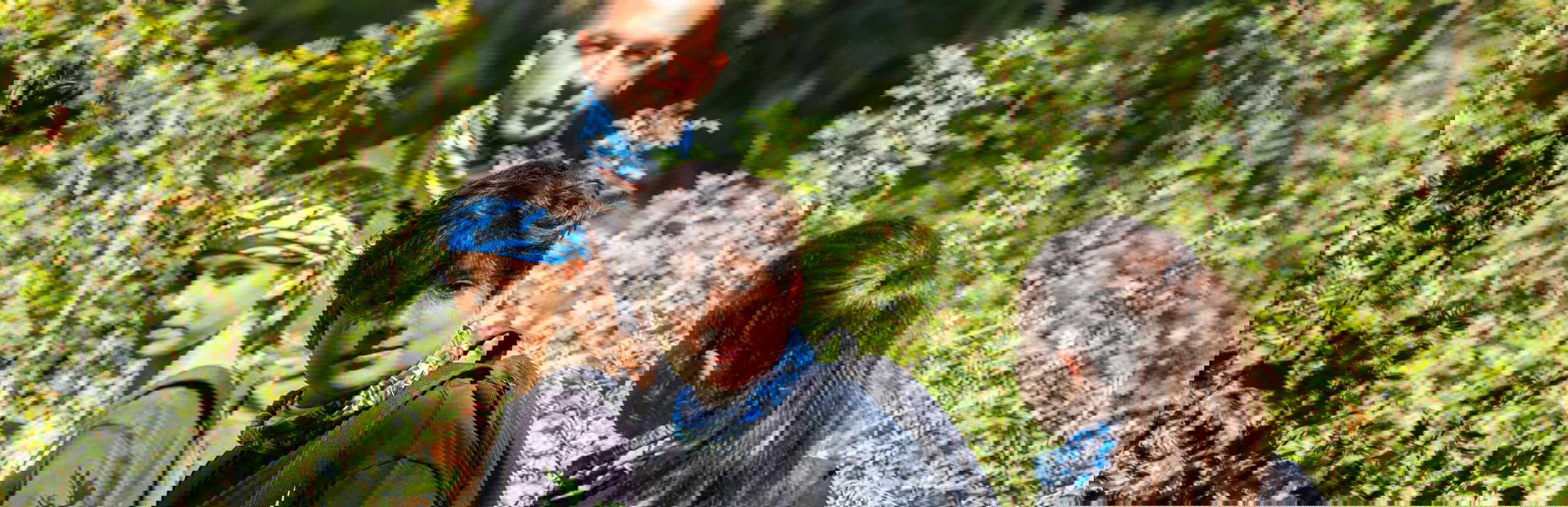 Bear Grylls Survival Academy Trail 2880X1920