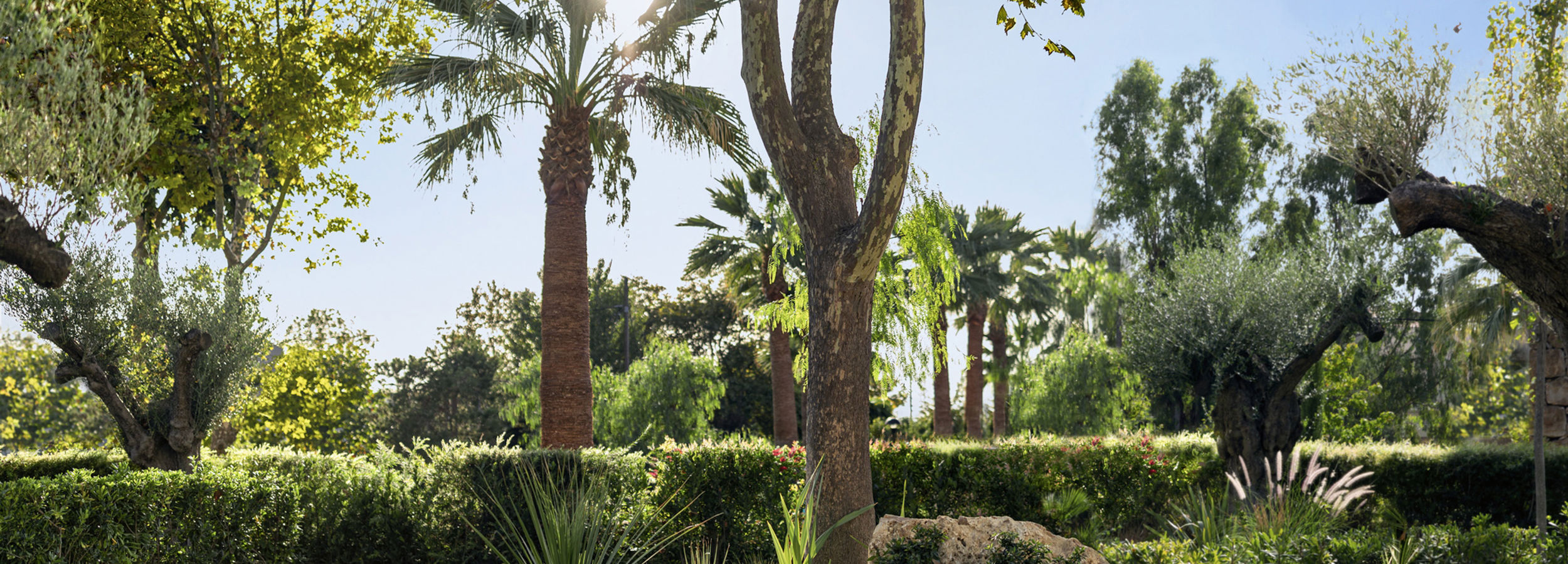 Sun loungers in private garden