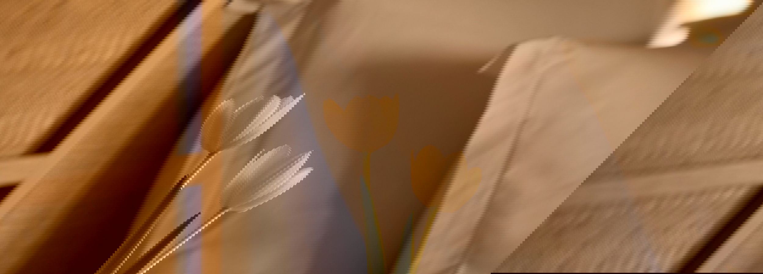 Two Bedroom Signature Residence Pr. Pool Beach Front 9