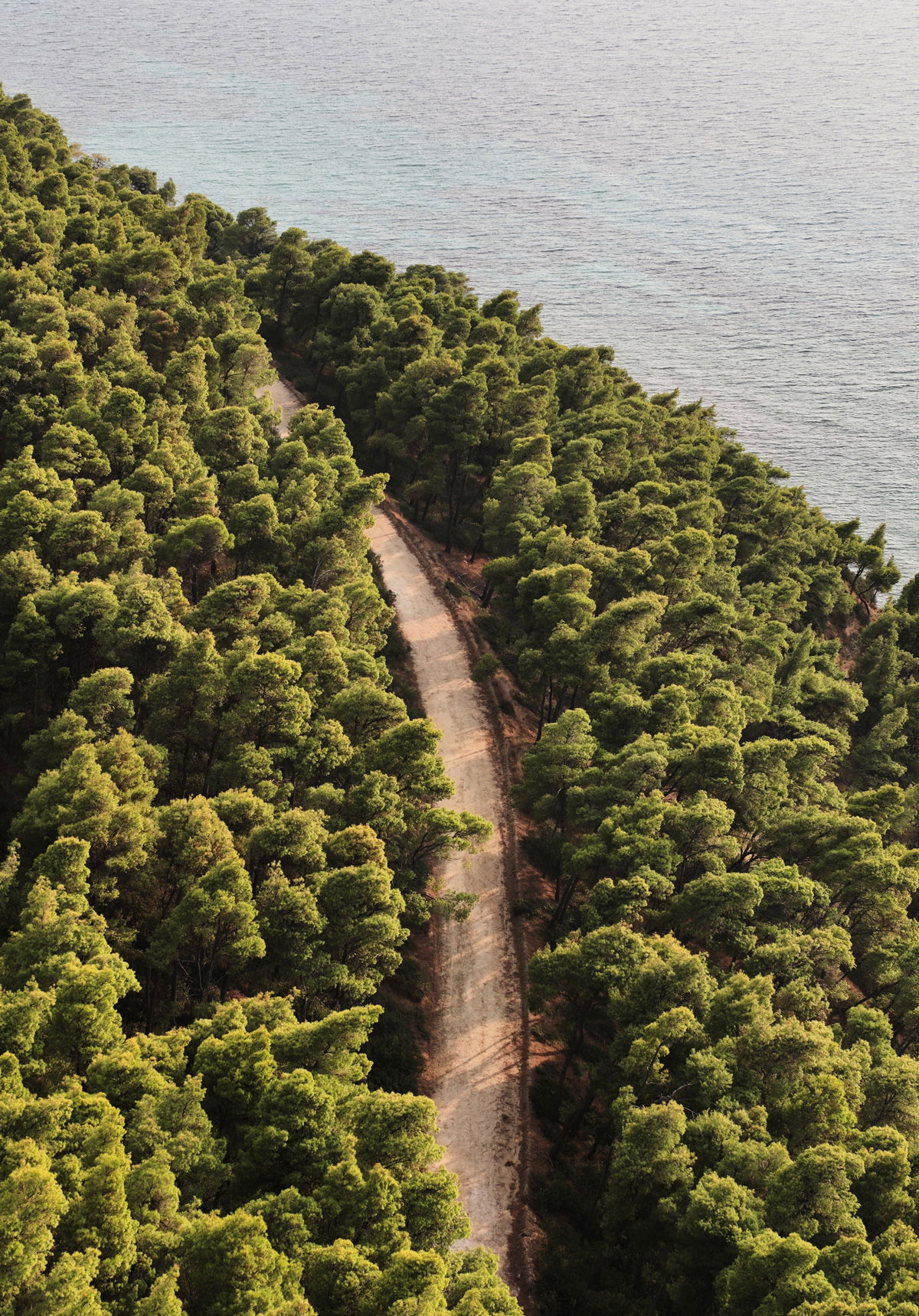 Vista mare dalla foresta di Sani sull'oceano