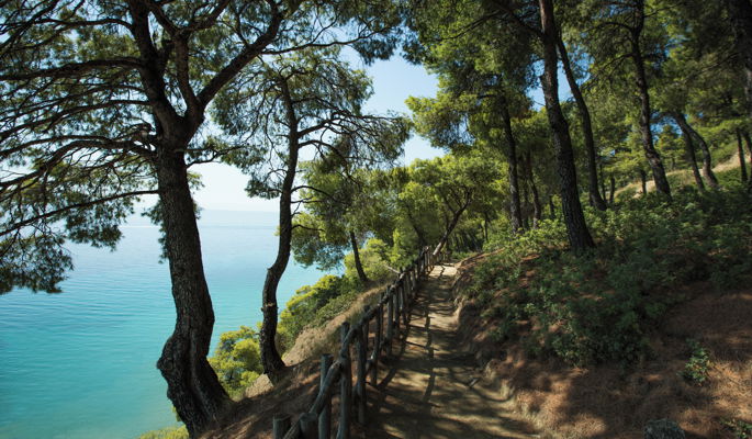 Sani Resort Forest Trail 2880X1920 (2)