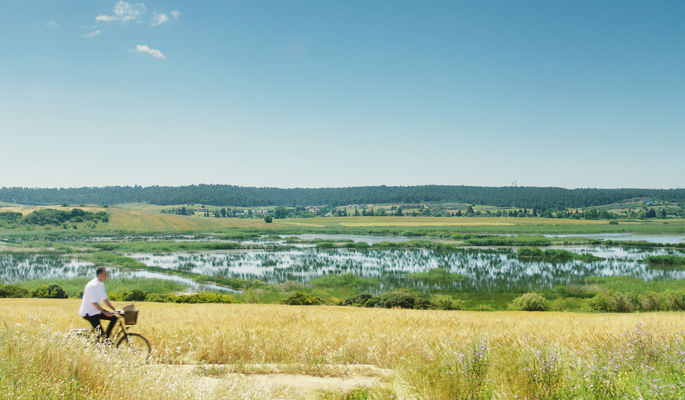 Discovering Wetlands at Sani Natural Reserve