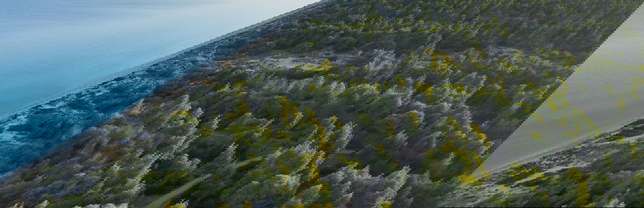 Sani Resort Bousoulas Beach Forest Aerial 2880X1918