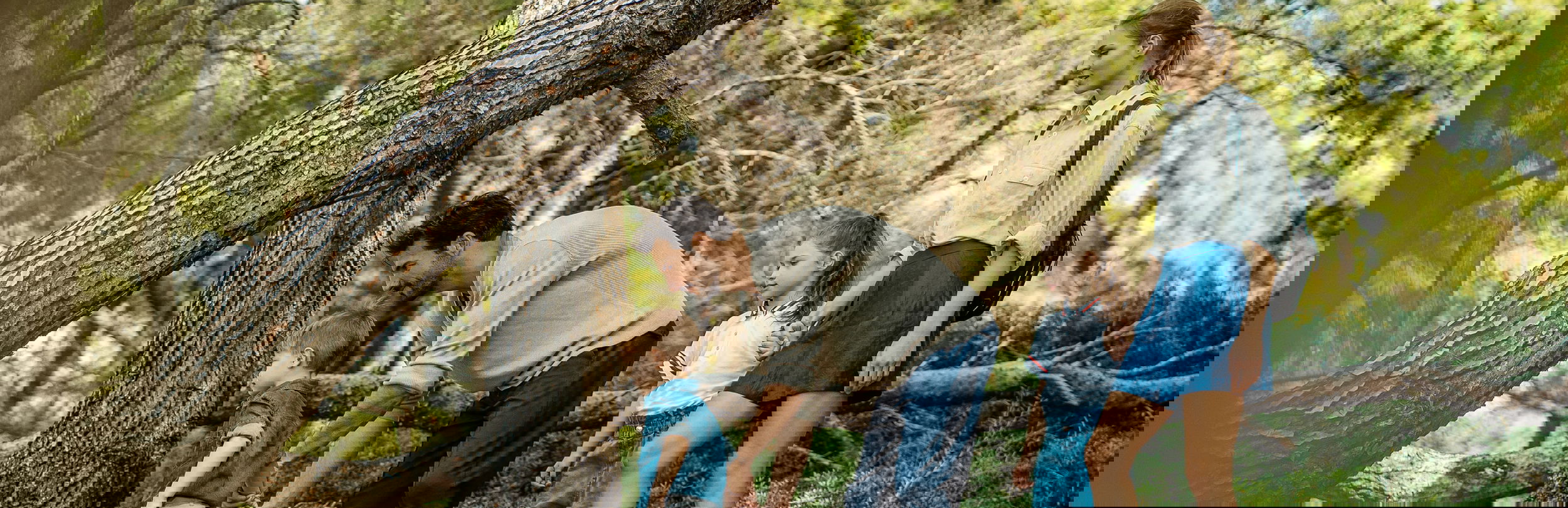 Άντρας που ακουμπά ένα δέντρο στο δάσος του Sani