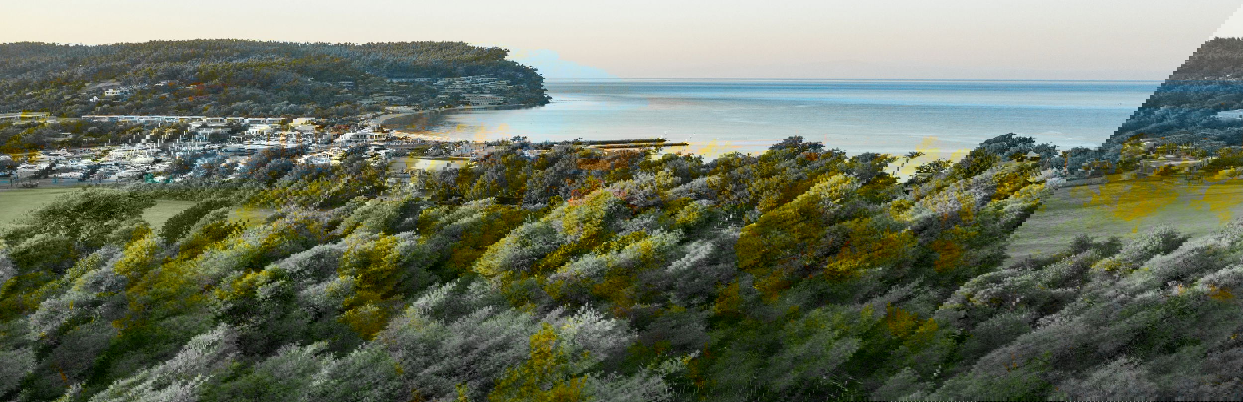 Sani Resort Aerial Over The Forest