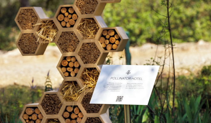 Bee inside pollinator hotel