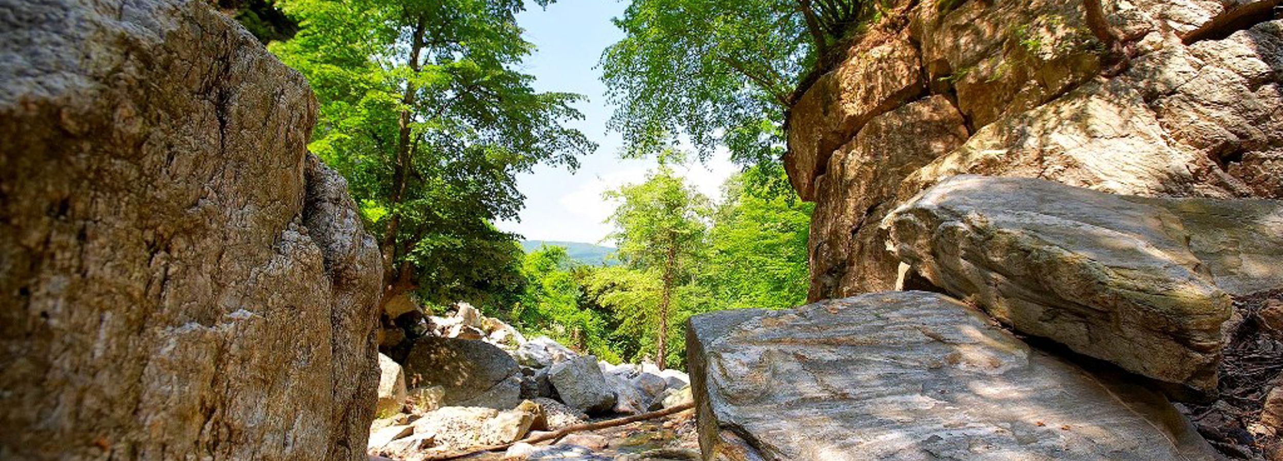 Excursion dans la campagne d'Holomontas