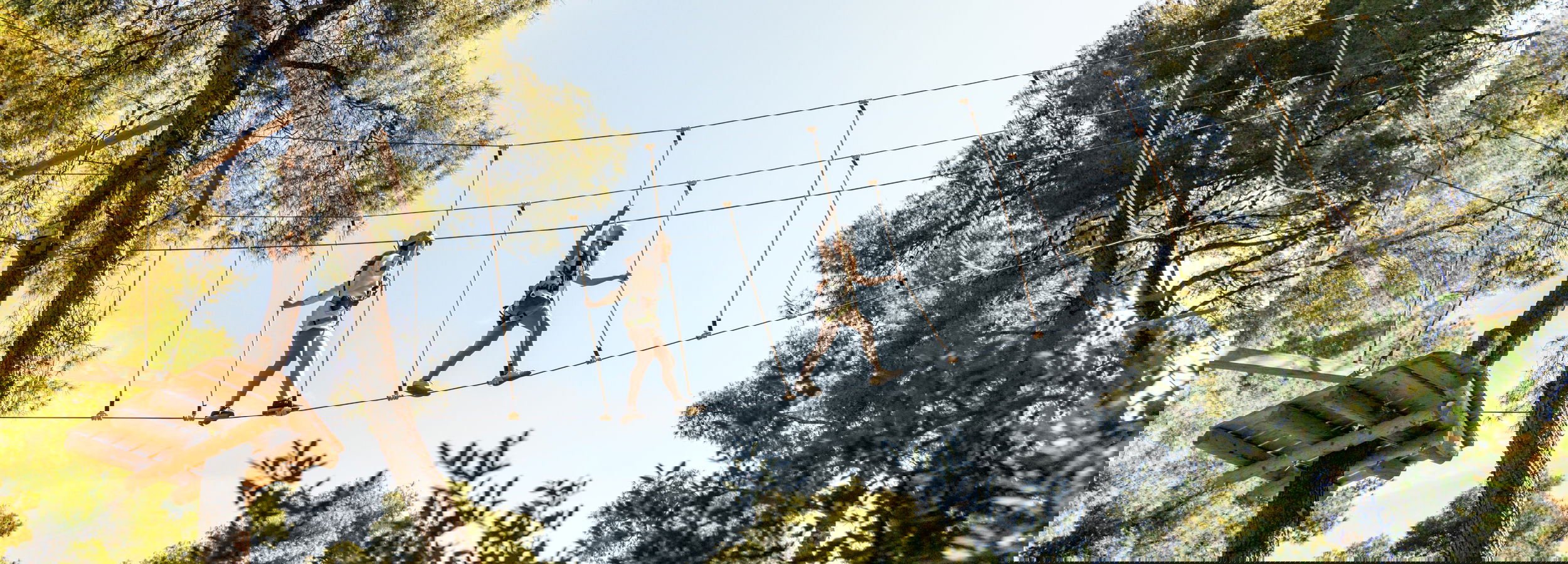 Sani Treetop Adventure Adrenaline 2880X1920