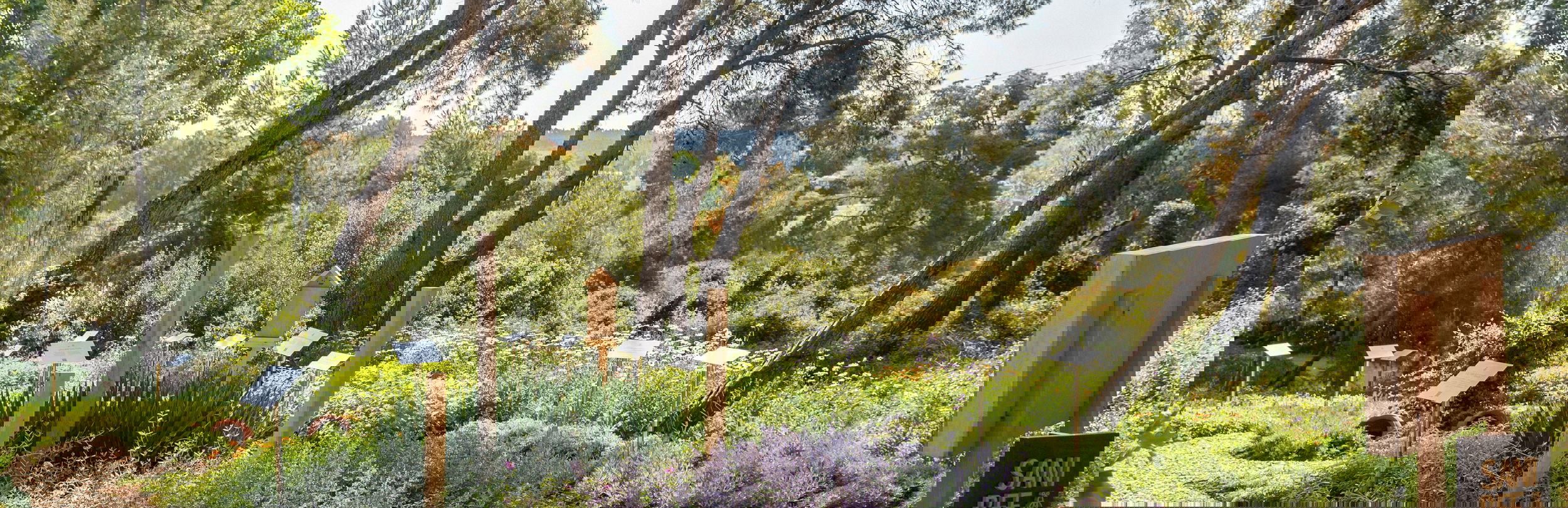 Sani Forest "Bee Spot"