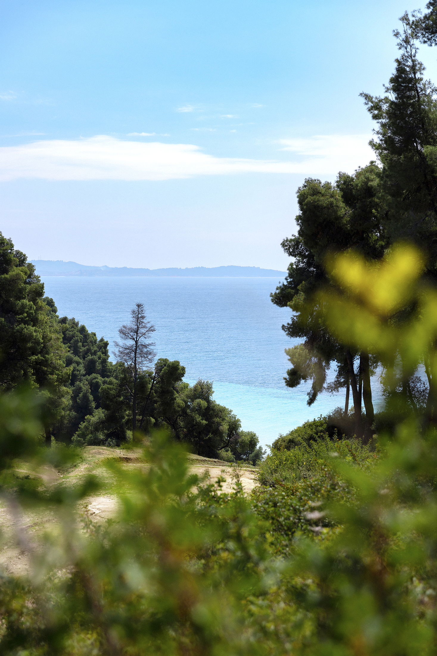 Sani Magazine (Sani Forest)