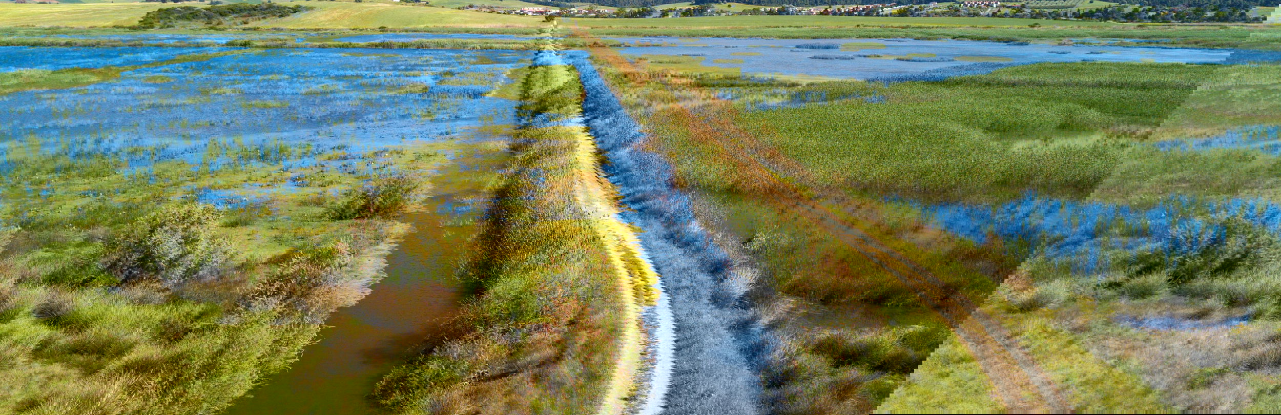 À la découverte des Wetlands de la réserve naturelle de Sani