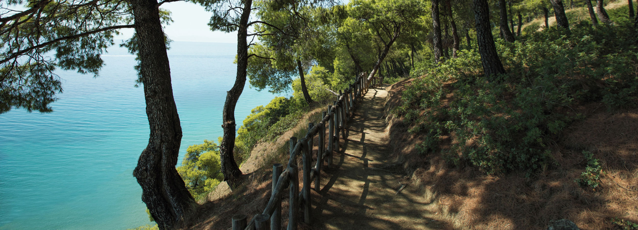 Sani Forest with Sea View