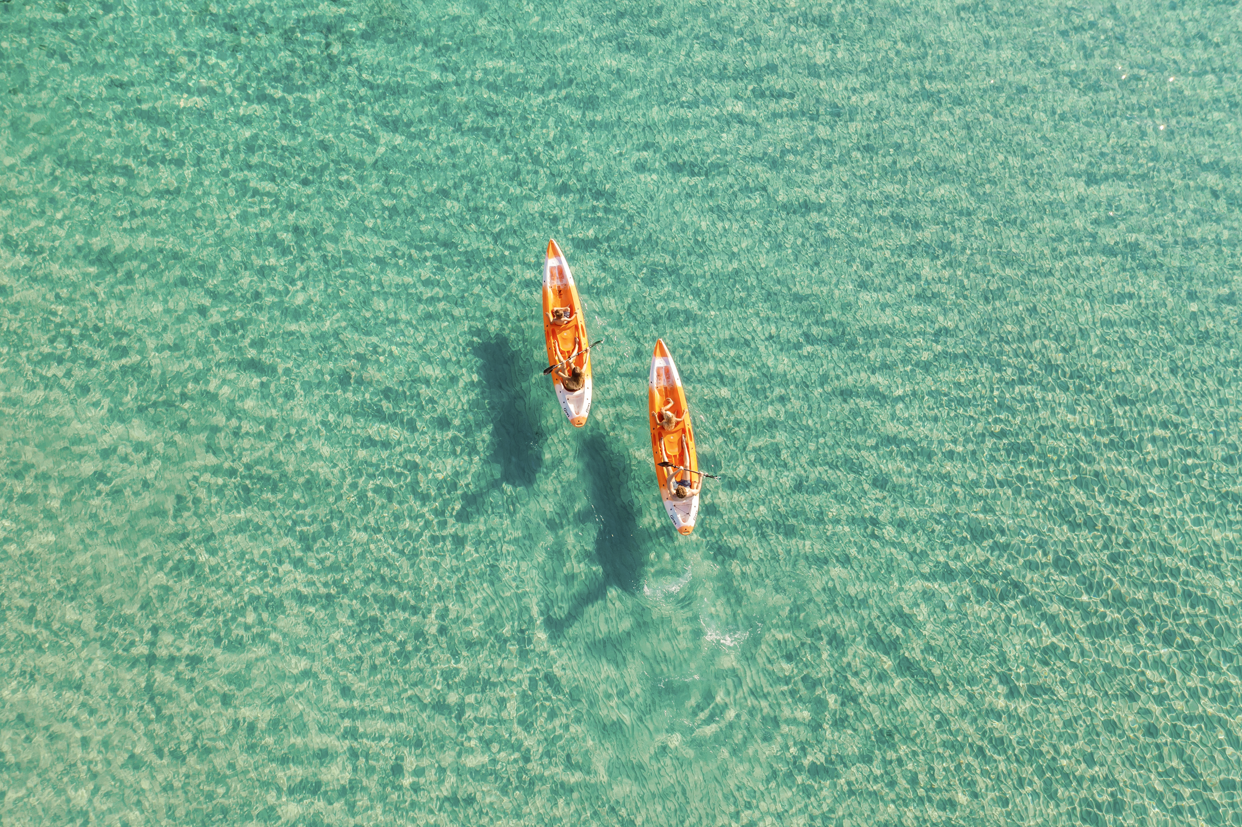 Paddleboard on water