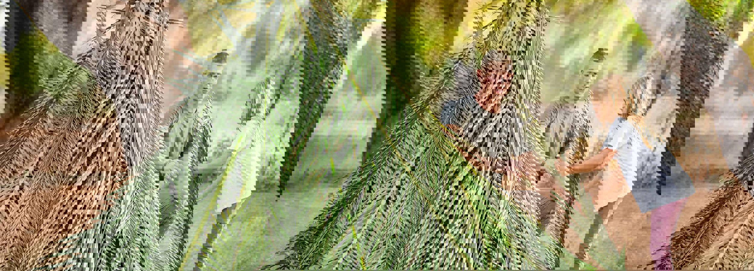 Bear Grylls Survival Academy Shelter Creation488 2880X1920