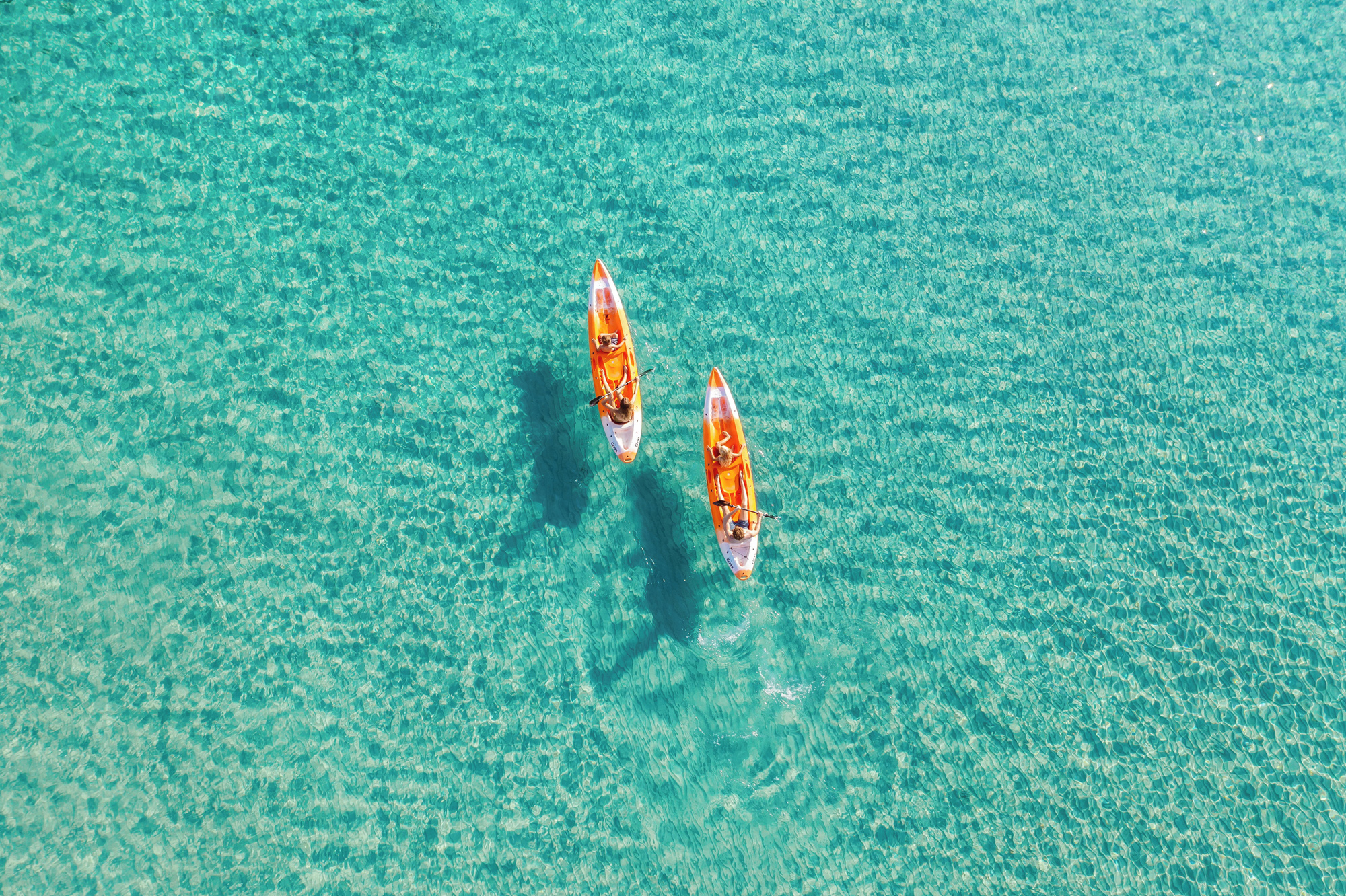 Paddleboard on water