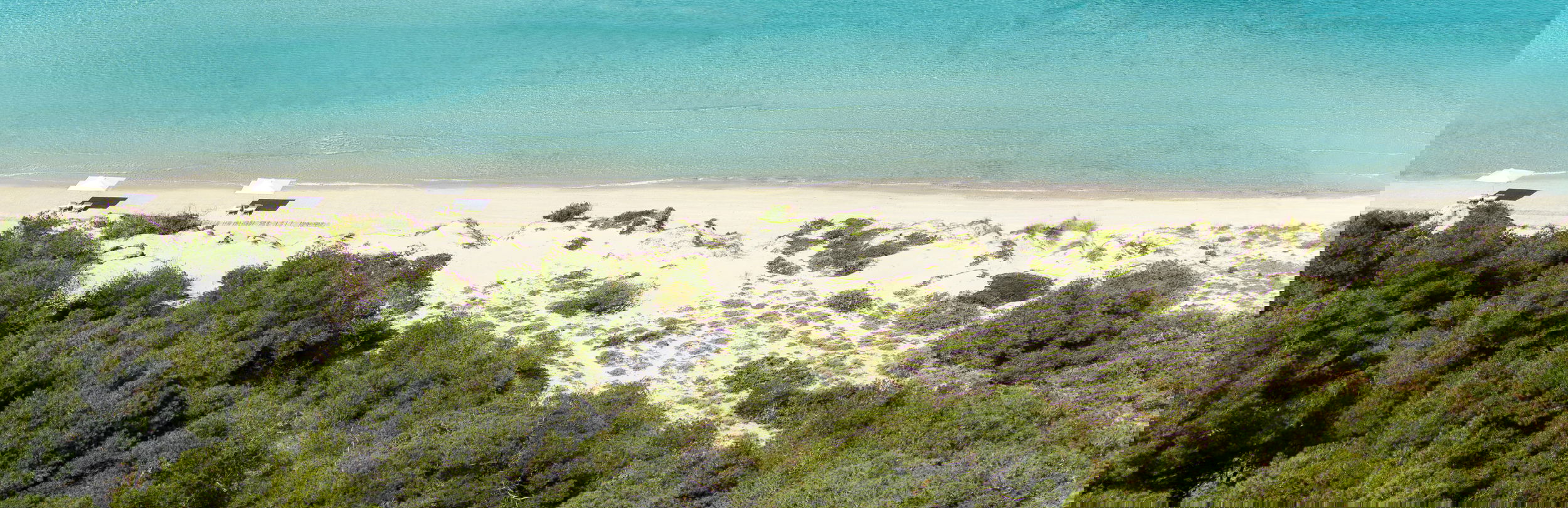 Luftaufnahme des Strandes in Chalkidiki