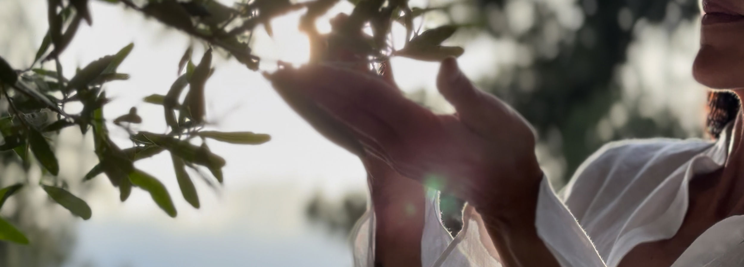 A Journey to Reconnection